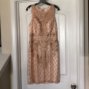 Sue Wong blush size 12